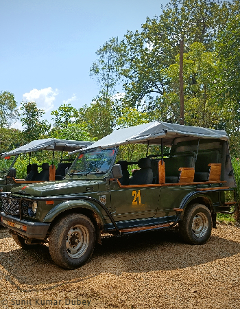 Jeep Safari - Thekkady, Kerala
